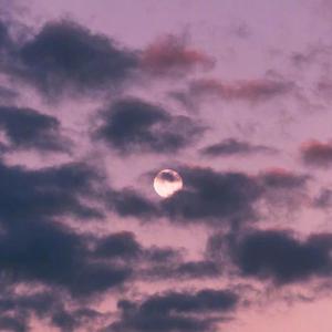 韩国男男喷浆同志
